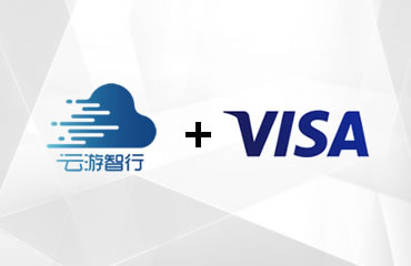 Fully connected with Visa online products